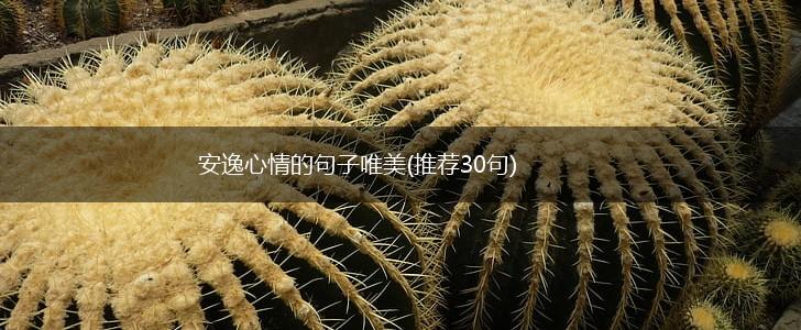 安逸心情的句子唯美(推荐30句),第1张