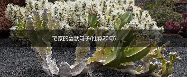 宅家的幽默句子(推荐20句),第1张