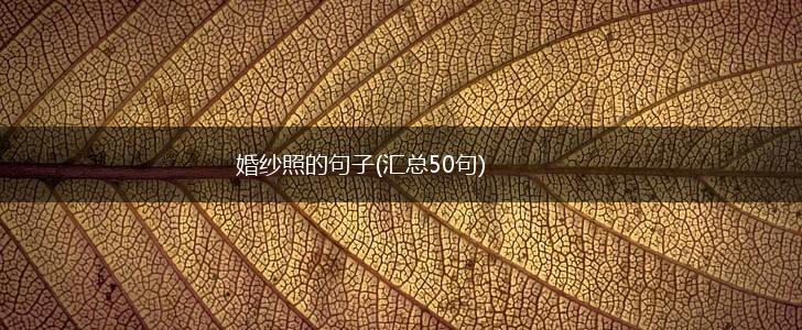 婚纱照的句子(汇总50句),第1张