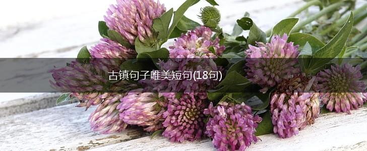 古镇句子唯美短句(18句),第1张