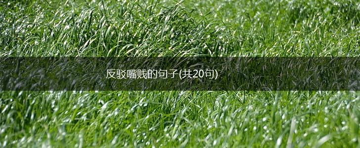 反驳嘴贱的句子(共20句),第1张