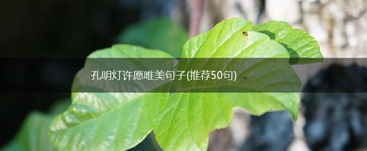 孔明灯许愿唯美句子(推荐50句),第1张