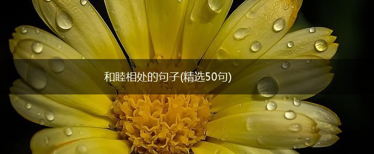 和睦相处的句子(精选50句),第1张