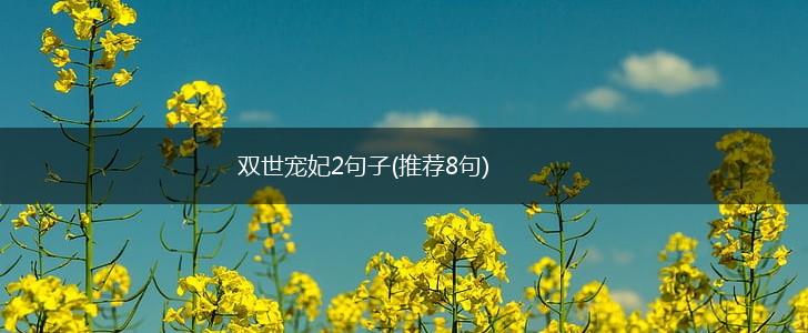 双世宠妃2句子(推荐8句),第1张
