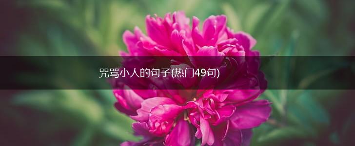 咒骂小人的句子(热门49句),第1张