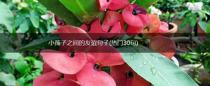 小孩子之间的友谊句子(热门30句),第1张
