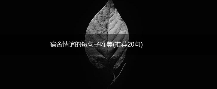 宿舍情谊的短句子唯美(推荐20句),第1张