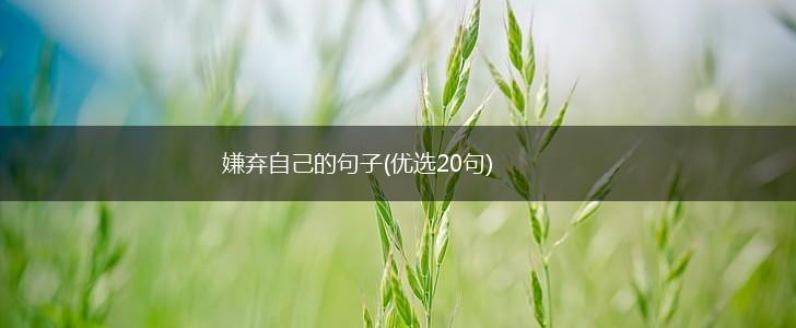 嫌弃自己的句子(优选20句),第1张