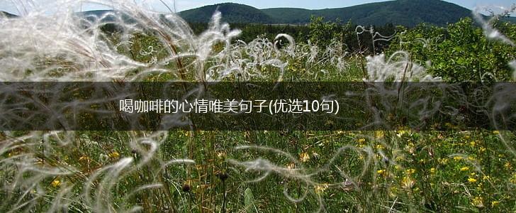 喝咖啡的心情唯美句子(优选10句),第1张