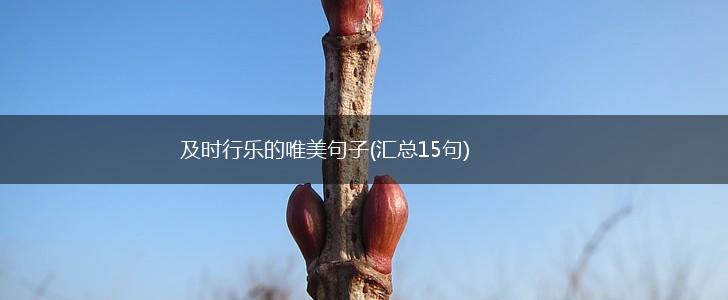 及时行乐的唯美句子(汇总15句),第1张