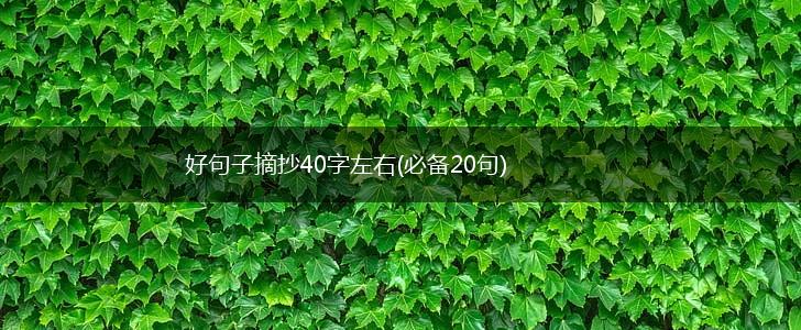 好句子摘抄40字左右(必备20句),第1张