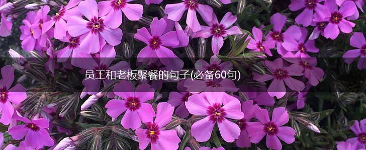 员工和老板聚餐的句子(必备60句),第1张