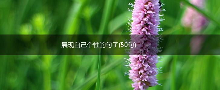 展现自己个性的句子(50句),第1张