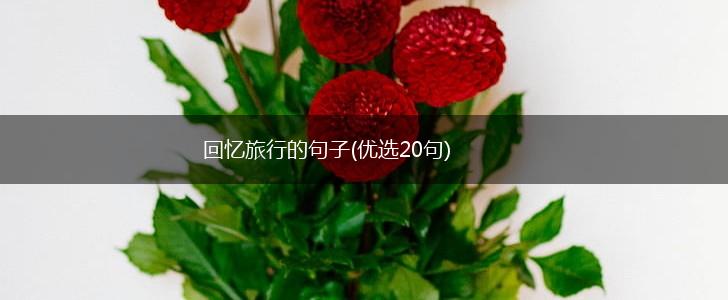 回忆旅行的句子(优选20句),第1张