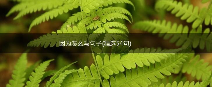 因为怎么写句子(精选54句),第1张