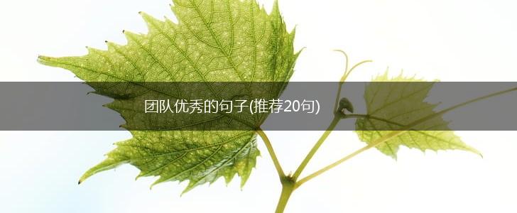 团队优秀的句子(推荐20句),第1张