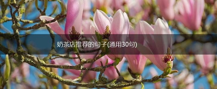 奶茶店推荐的句子(通用30句),第1张