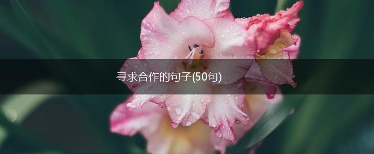 寻求合作的句子(50句),第1张