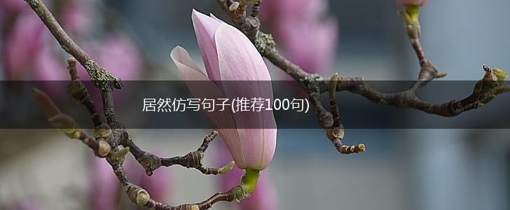 居然仿写句子(推荐100句),第1张
