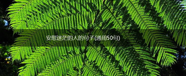 安慰迷茫的人的句子(通用50句),第1张