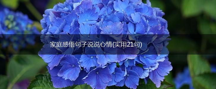 家庭感悟句子说说心情(实用21句),第1张