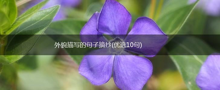 外貌描写的句子摘抄(优选10句),第1张