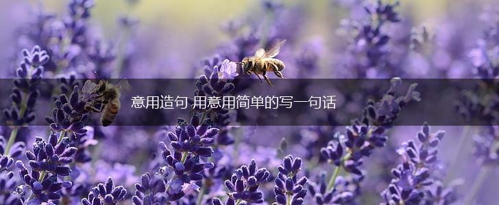 意用造句 用意用简单的写一句话,第1张