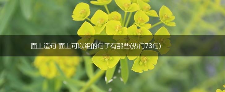 面上造句 面上可以组的句子有那些(热门73句),第1张