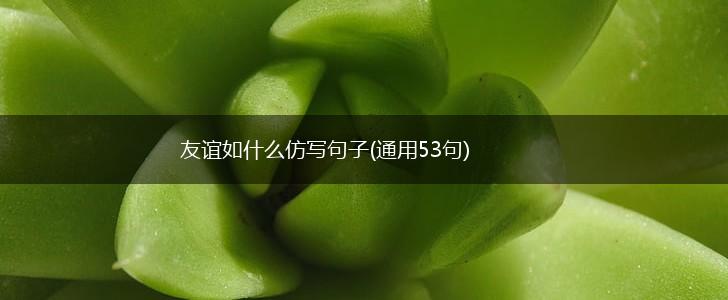 友谊如什么仿写句子(通用53句),第1张