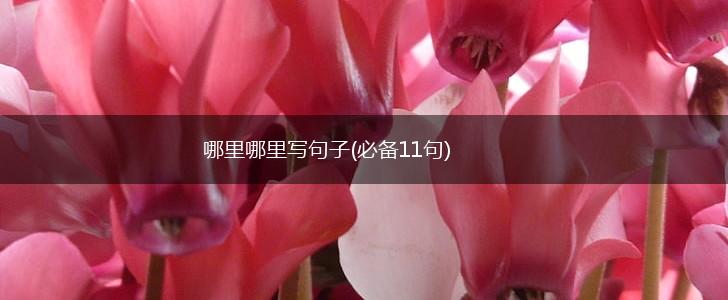 哪里哪里写句子(必备11句),第1张