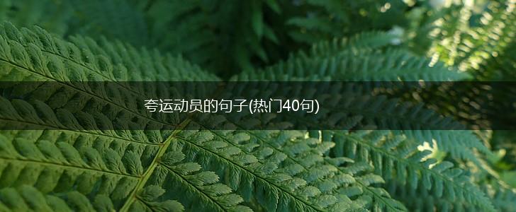 夸运动员的句子(热门40句),第1张