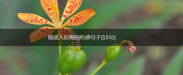 嫁错人后悔的伤感句子(15句),第1张