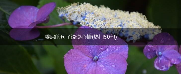 委屈的句子说说心情(热门50句),第1张