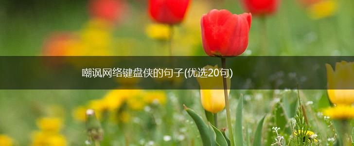 嘲讽网络键盘侠的句子(优选20句),第1张