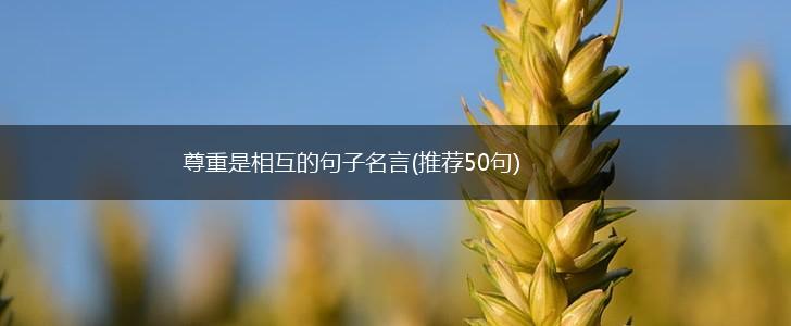尊重是相互的句子名言(推荐50句),第1张