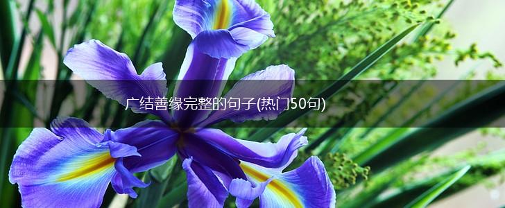 广结善缘完整的句子(热门50句),第1张