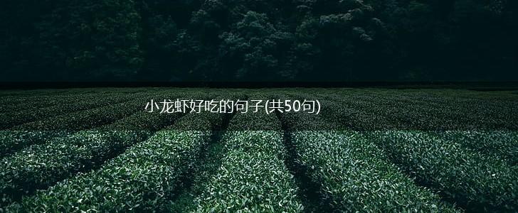 小龙虾好吃的句子(共50句),第1张