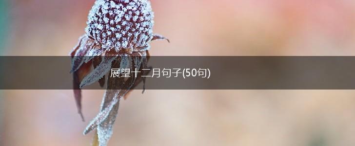 展望十二月句子(50句),第1张