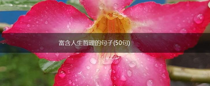 富含人生哲理的句子(50句),第1张