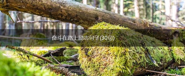 奋斗在路上励志句子(30句),第1张