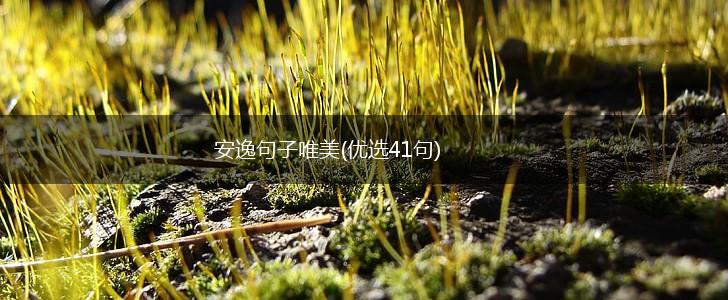 安逸句子唯美(优选41句),第1张
