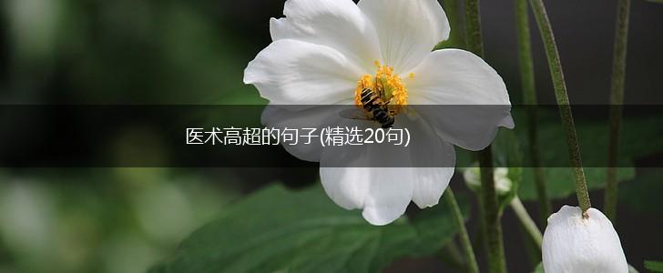 医术高超的句子(精选20句),第1张