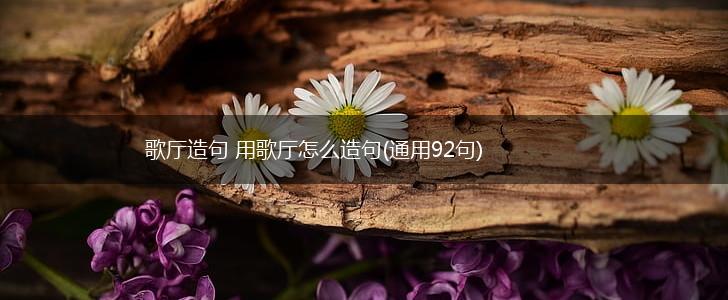 歌厅造句 用歌厅怎么造句(通用92句),第1张