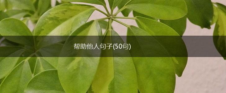 帮助他人句子(50句),第1张