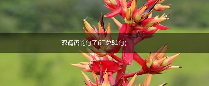 双谓语的句子(汇总51句),第1张