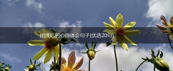 团建后的心得体会句子(优选20句),第1张