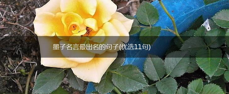 墨子名言最出名的句子(优选11句),第1张
