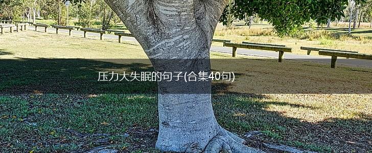 压力大失眠的句子(合集40句),第1张