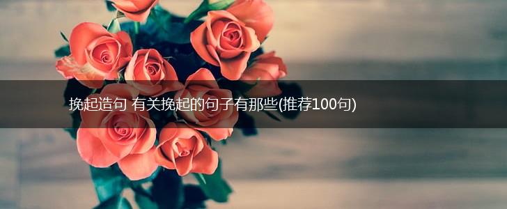挽起造句 有关挽起的句子有那些(推荐100句),第1张