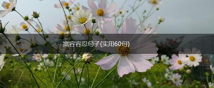 宽容容忍句子(实用60句),第1张